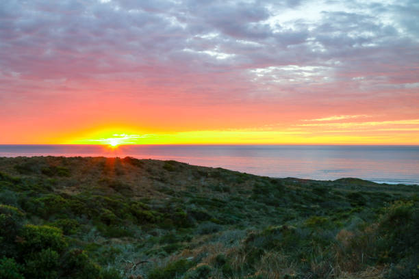 istock Days end by the sea shore 875412904