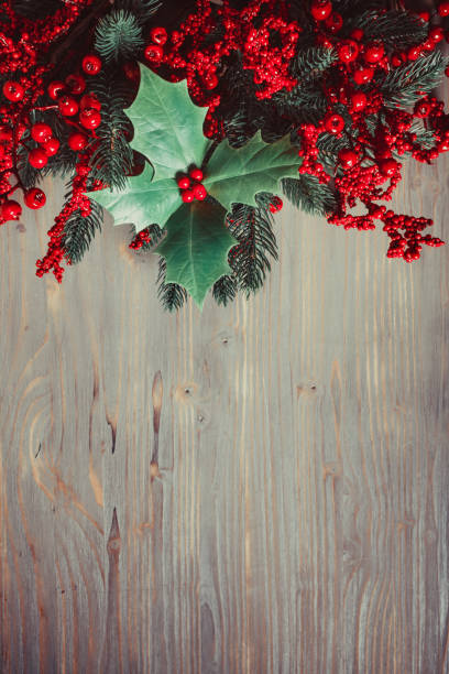 Holly and fir twigs on wood wall stock photo