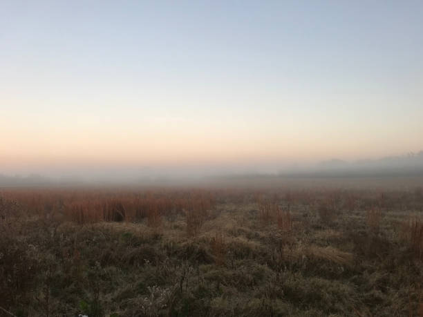 istock FOGGY SUNRISE ON A PASTURE 875419578