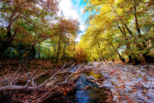 istock Isparta - Turkey. October 25, 2015. Autumn in Kovada National Park. 875423262