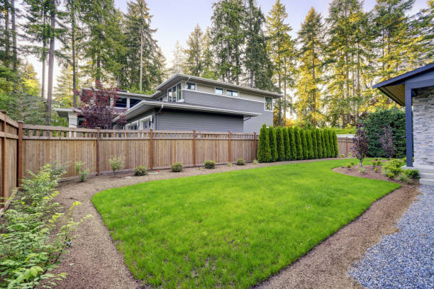 istock New modern home features a backyard with beautiful garden. 875426936