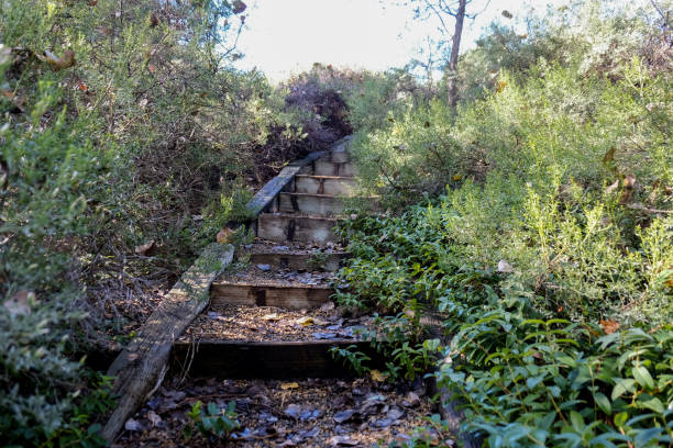 istock Mountain creek, bridge, and adjoining stairs 875430570