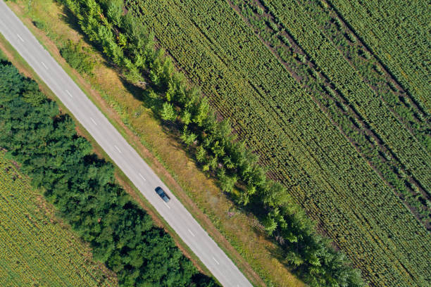 istock Aerial view of a highway passing through green fields 875430738