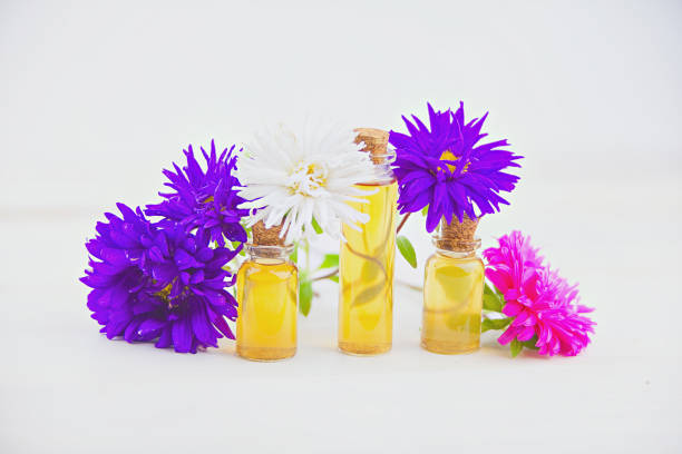 istock aster essential oil in  beautiful bottle on  White background 875434288
