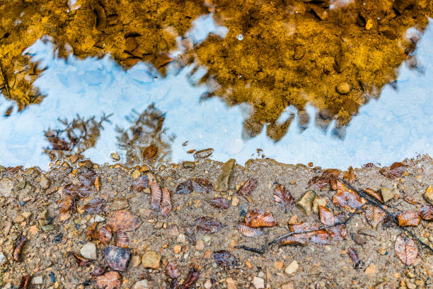 tapa plana vista de cala naranja rojo agua y arena durante el otoño caen hojas, reflexión y río claro - autumn water leaf stream fotografías e imágenes de stock