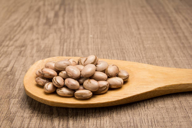 Phaseolus vulgaris is scientific name of Pinto Bean legume. Also known as Frijol Pinto and Feijao Carioca. Grains in wooden spoon. Rustic.