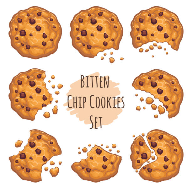 ilustraciones, imágenes clip art, dibujos animados e iconos de stock de set de galletas chip chocolate mordida - crumb cookie isolated biscuit