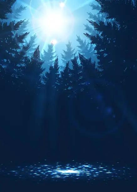 Vector illustration of Forest background with sunbeams