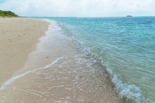 istock View to the Aiyaru beach (Taketomi Island/Taketomi-jima, Okinawa) 875468490