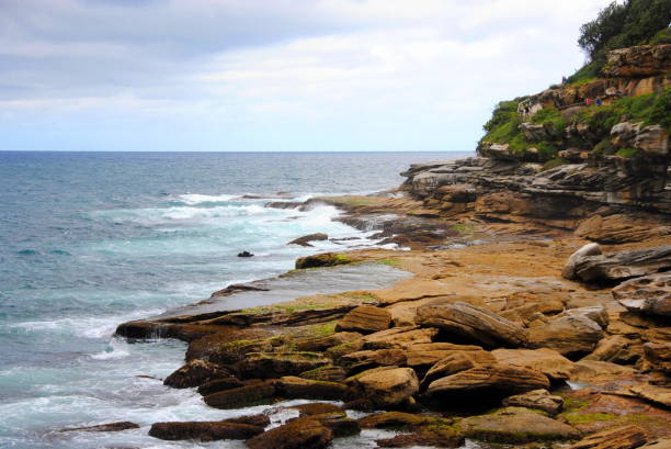 istock Sydney coastline on a sunny day 875472098