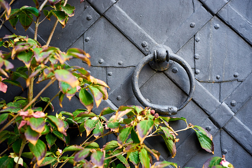Detail of an old iron door, with a snake-shaped knocker eating its tail