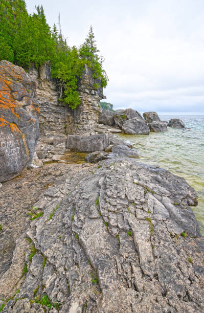 istock Bare Rock and Pines on a Remote Lakeshore 875480558