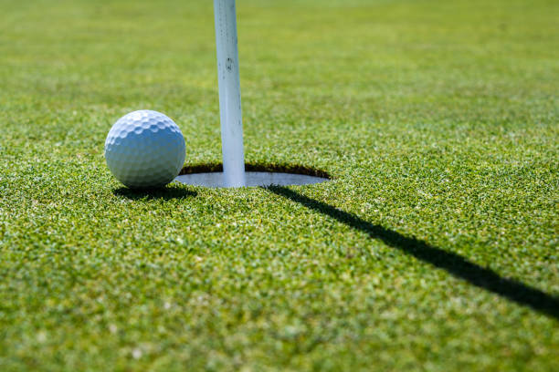 istock Putting green detail 875484212