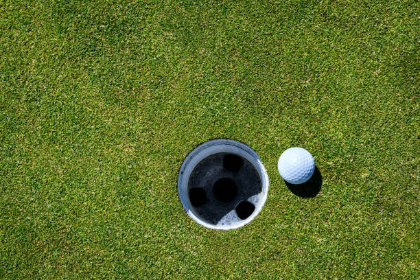 istock Putting green detail 875484406