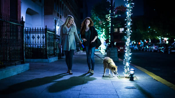 The pretty Caucasian blonde pregnant woman together with her teenager sister walking the dog on the street at the night The pretty Caucasian blonde pregnant woman together with her teenager sister walking the dog on the street at the night. Jersey City, New Jersey, USA walking point of view stock pictures, royalty-free photos & images