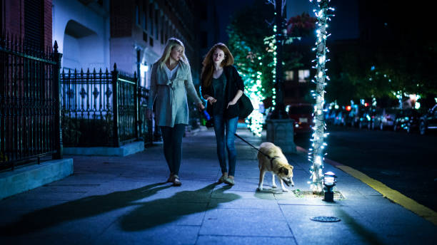 красивая кавказская блондинка беременная женщина вместе со своей сестрой-подростком выгулив собаку на улице ночью - walking point of view стоковые фото и изображения