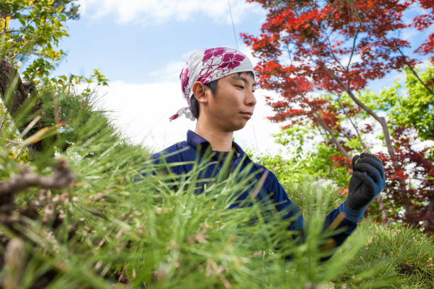 istock Young Japanese Gardener 875490562