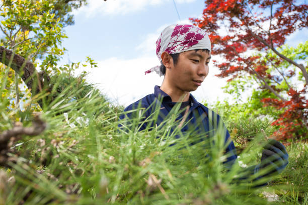istock Young Japanese Gardener 875496420