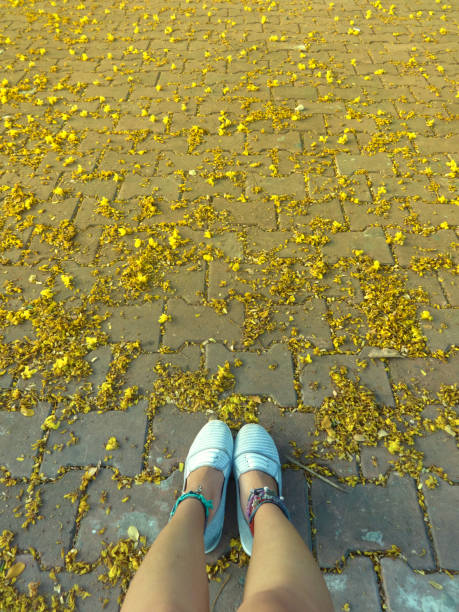 istock Autumn flowers on the ground 875499714
