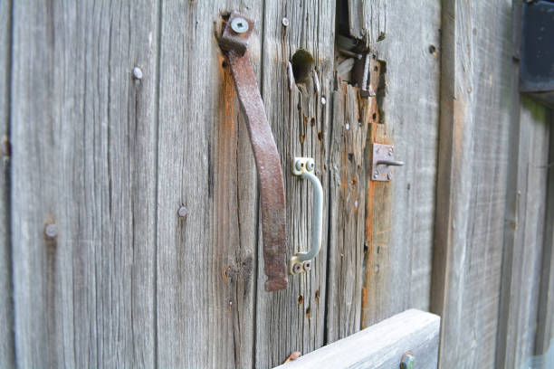 istock Barn door with rust. Unfiltered doors, with natural lighting. An old gray rustic barn surface. 875500054