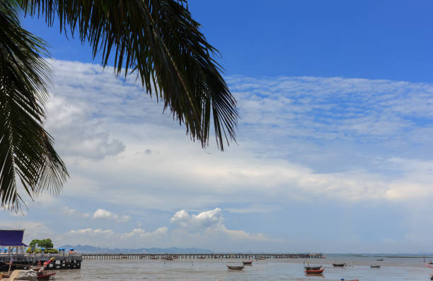 istock Coconut leaves with sky and beautiful sea. 875502610
