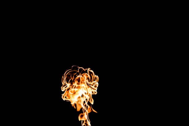 istock Flames of fire on dark background 875505756
