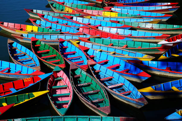 istock Row boats, Fewa Lake, Nepal 875507994