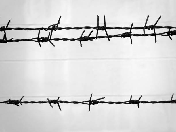istock Old and rusty barbed wire on the fence 875517720