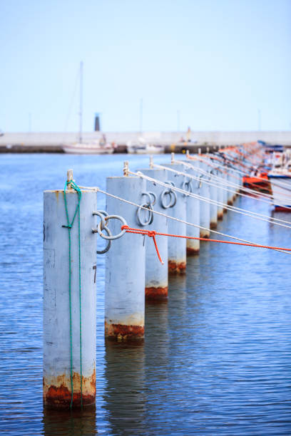 istock row of metal bollards on the dock 875524752