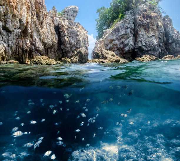 istock Cliff rock strait with fish school on sea 875530848