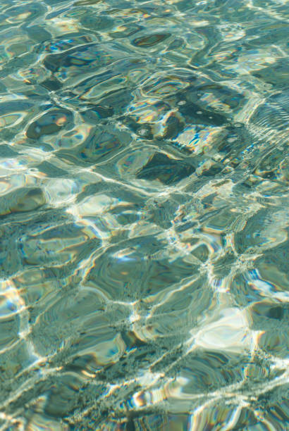 istock Refraction of light in clear water with small waves. Background 875531292