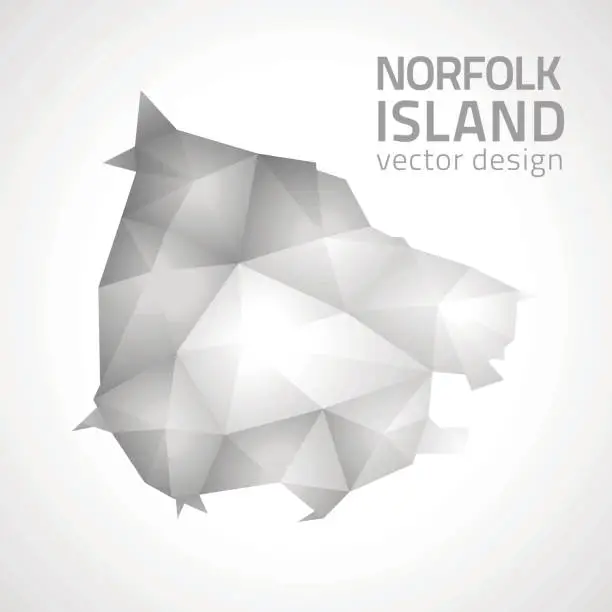 Vector illustration of Norfolk Island polygonal triangle grey and silver vector map