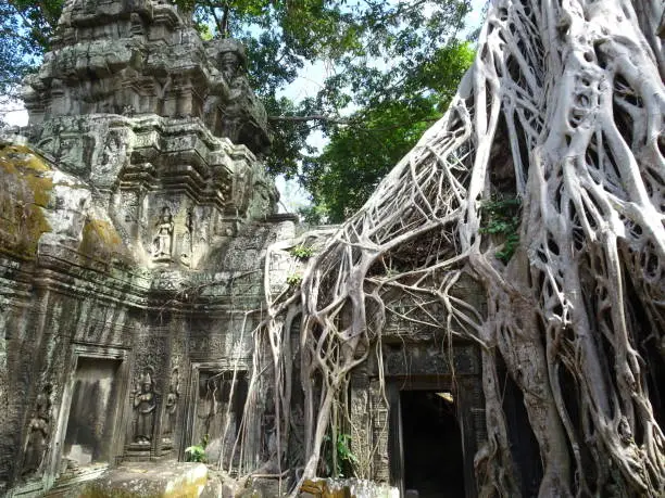 Photo of Ta Prohm Temple in the jungle in Siem Reap in Cambodia