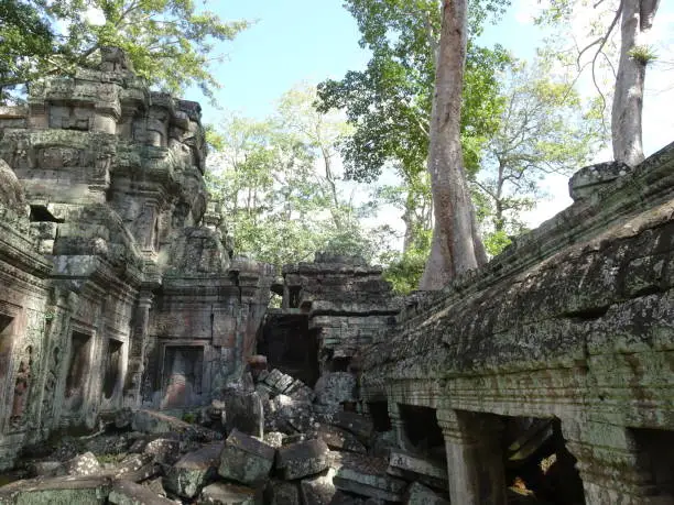 Photo of Famous Ta Prohm Temple in Cambodia