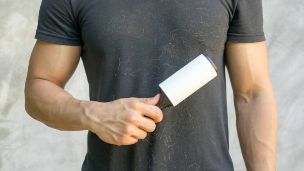 istock Man holding a hair removal roller. 875544396