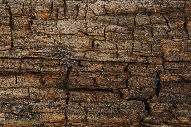 istock old wooden brown background 875550946