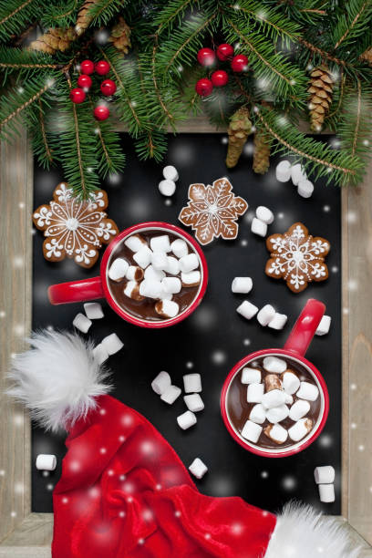 istock Hot cocoa with marshmallows and gingerbread cookies 875569198