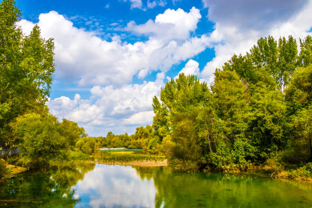 istock Waterfall On The River Manavgat, Turkey 875574422