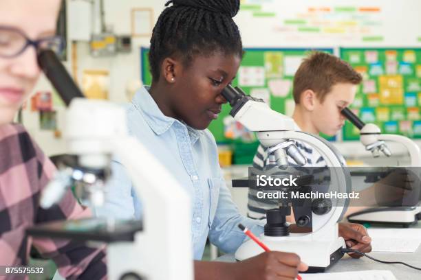 Group Of Pupils Using Microscopes In Science Class Stock Photo - Download Image Now - Junior High, Science, Classroom