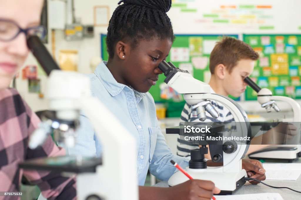 Grupo de alunos usando microscópios na aula de Ciências - Foto de stock de Junior High royalty-free