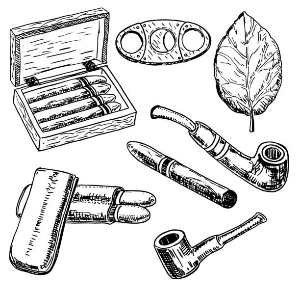 Vector ink hand drawn style tobacco set Vector ink hand drawn style tobacco set with tobacco leaf, cigars, smoking pipe, cigarette holder, humidor, etc. Vintage sketch illustration. chewing tobacco stock illustrations