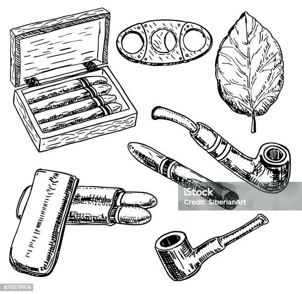 Vector Ink Hand Drawn Style Tobacco Set Stock Illustration - Download Image Now - Cuban Culture, Drawing - Activity, Drawing - Art Product