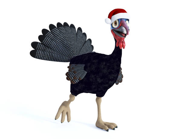 istock A funny silly looking cartoon turkey wearing a Santa hat. 875580470