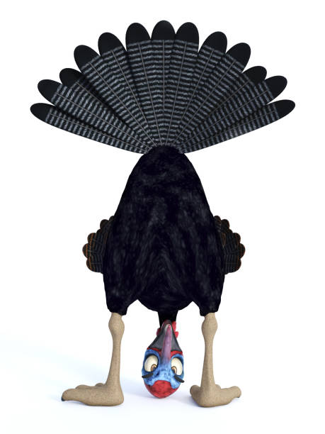 istock A funny silly looking cartoon turkey playing peekaboo. 875580508