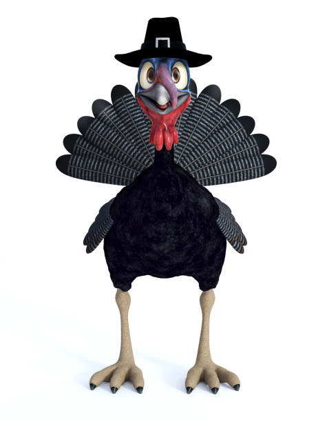 istock A funny silly looking cartoon turkey wearing a pilgrim hat. 875580528