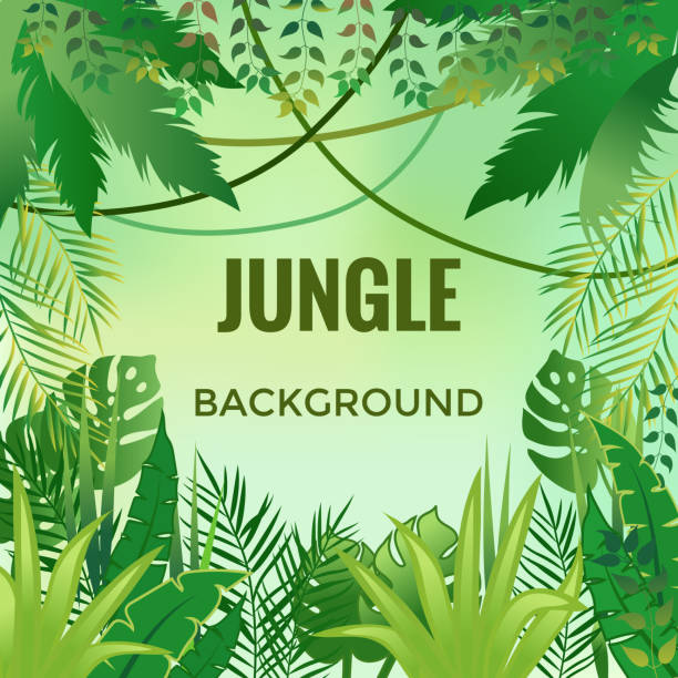 tło dżungli. drzewa i rośliny dżungli. - animal animal themes tropical rainforest cartoon stock illustrations