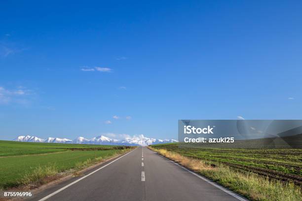 Car Driving Stock Photo - Download Image Now - Single Lane Road, Straight, Japan