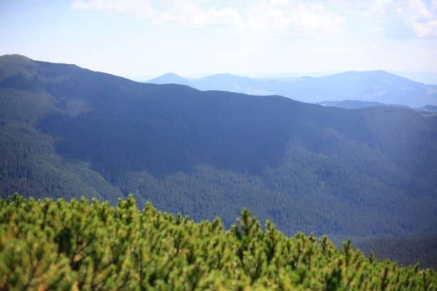 istock Chornohora ridge in the Ukrainian Carpathians 875597216