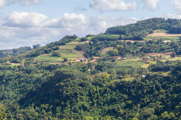 istock Forest,mountains and Farms in Gramado 875599928