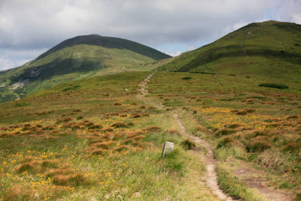 istock Chornohora ridge in the Ukrainian Carpathians 875606580
